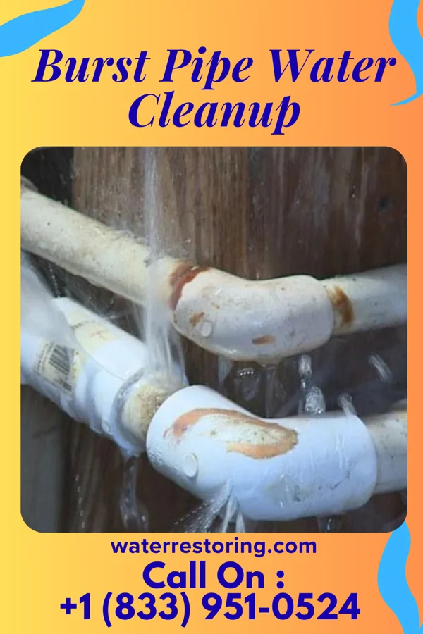 Burst Pipe Water Cleanup in Country Life Acres, MO