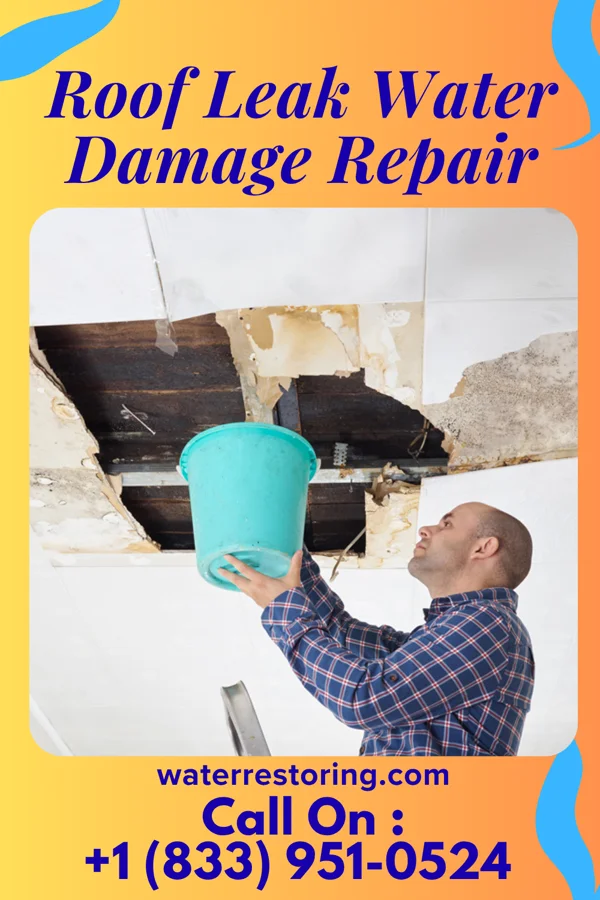Roof Leak Water Damage Repair in Country Life Acres, MO